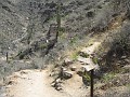 Bear Canyon 065